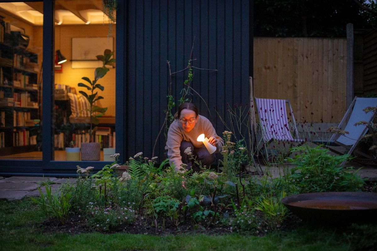 Charred timber garden room office in Leytonstone at dusk, bookshelves lit inside, a man crouching in the planting